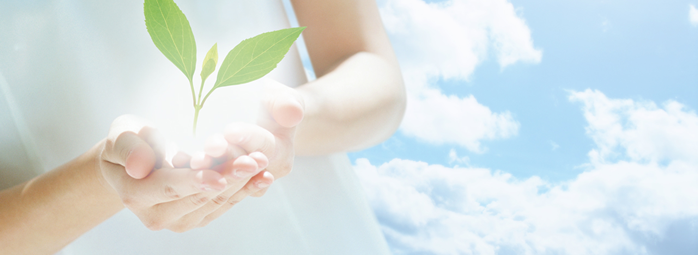 少額減価償却資産の必要経費